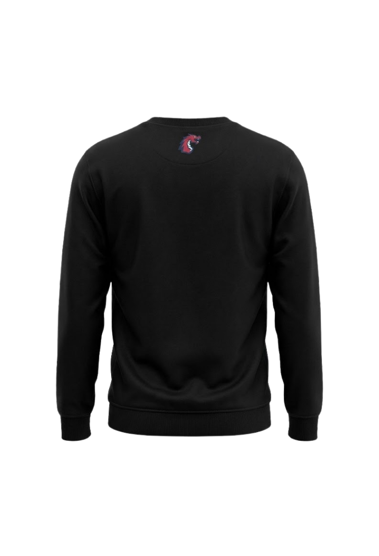 BK 03 SWEATSHIRT BASKETBALL SİYAH - Görsel 3