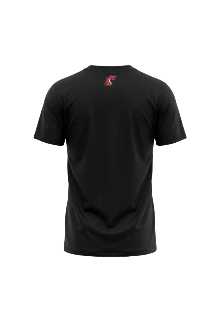 BK DRAGOS TSHIRT SİYAH-BYZ - Görsel 3